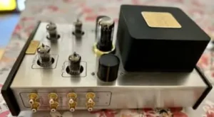 Does Space Tech Lab ASP 10001-ES Have Subwoofer Output?