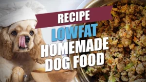 How to Make Healthy Pet Food for Dogs – Recipes PDF