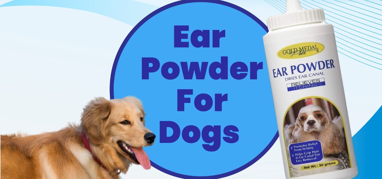 ear powder for dogs