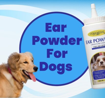 ear powder for dogs