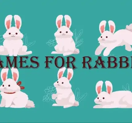 names for rabbits