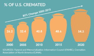 How Much Is Dog Cremation? Pricing and Options Explained