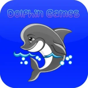 How To play japanese games dolphin