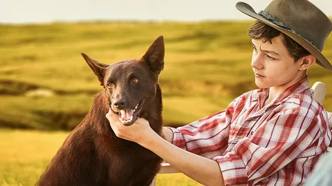 cole prevost dog
