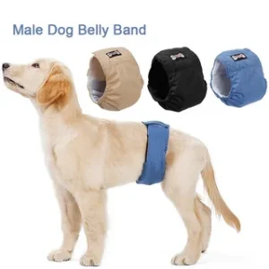 Doggy Male Belly Bands That Are Comfortable and Efficient